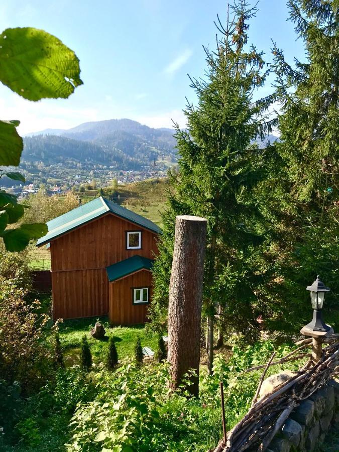 Villa Nagori Slavske Bagian luar foto