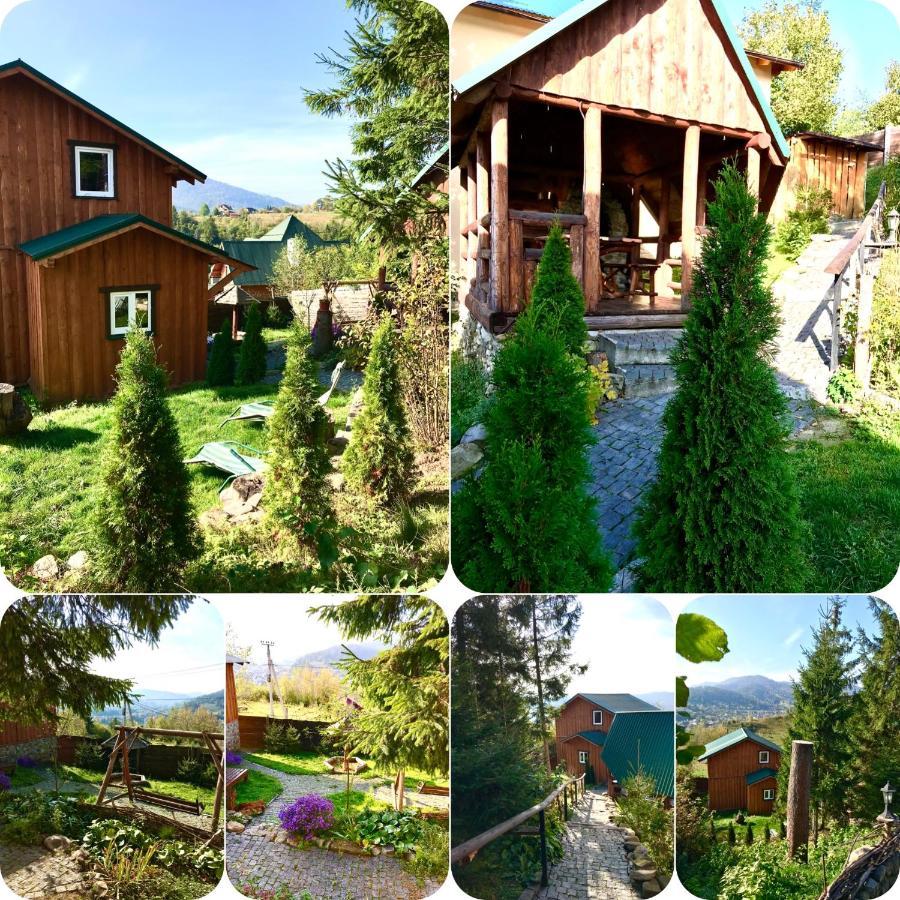 Villa Nagori Slavske Bagian luar foto