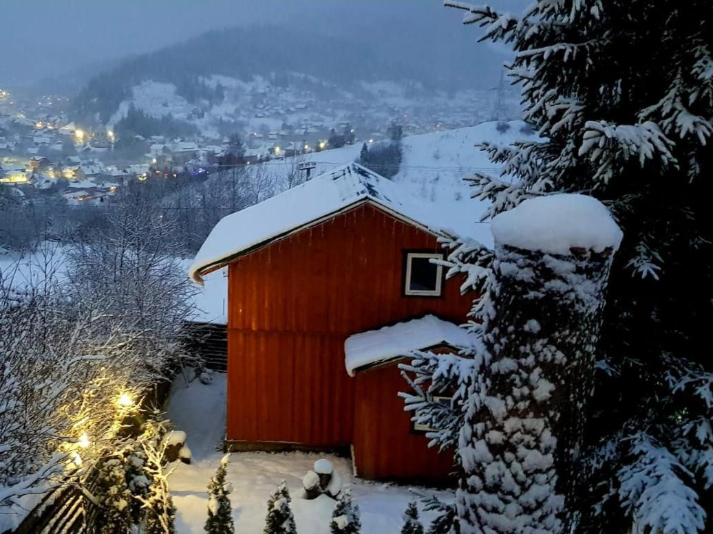 Villa Nagori Slavske Bagian luar foto