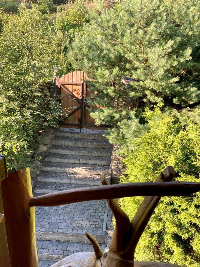 Villa Nagori Slavske Ruang foto